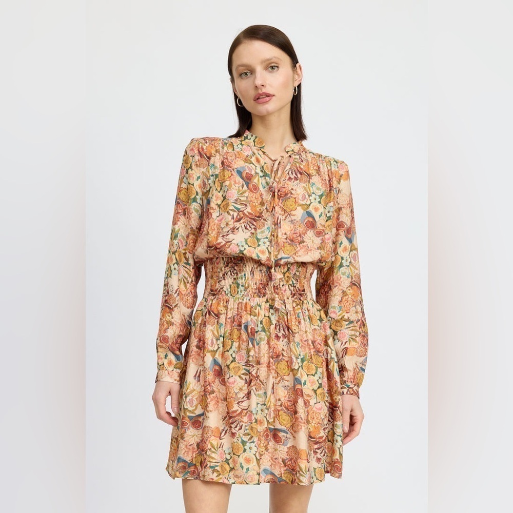 En Saison Candela Mini Dress in Rust Orange Multi Print, Size S